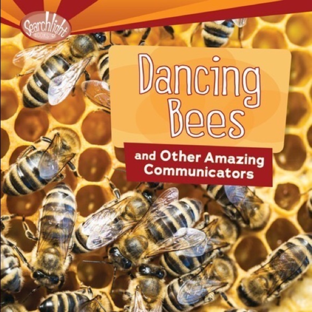 Dancing Bees learning book